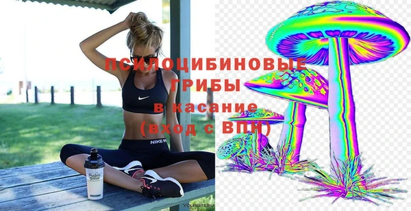 Альфа ПВП Володарск
