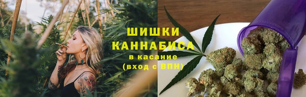 Альфа ПВП Володарск